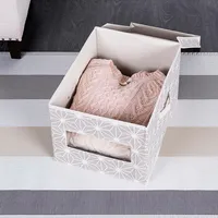 KSP Axis Storage Box with Window (Taupe) 30 x 39.5 x 25 cm