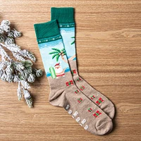 Hotsox Men's 'Surfing Santa' Crew Socks - Set of 2 (Multi Colour)