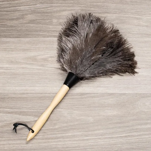 Casabella Feather Duster