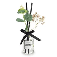 KSP Soleil 'Carribean Coconut' Reed Diffuser (Clear)