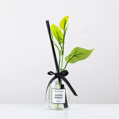 KSP Soleil 'Ocean Breeze' Reed Diffuser (Clear)