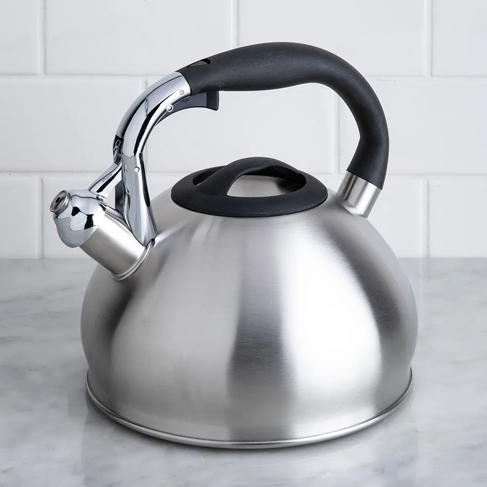 Polder Gumdrop Whistling Stovetop Kettle (Stainless Steel)