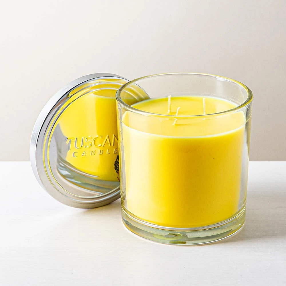 Empire Tuscany 'Pineapple Ginger' 3-Wick Glass Jar Candle