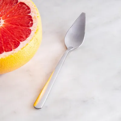 Danesco Grapefruit Spoon (Stainless Steel)
