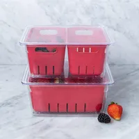 KSP Fridgestor Double Basket Berry Keeper (Red) 6.7x8.7x4"