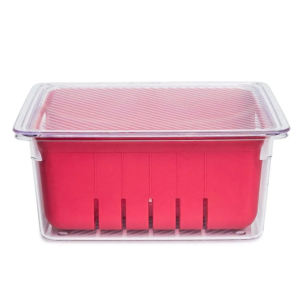 KSP Fridgestor Berry Keeper Basket (Red) 6.7x8.7x4"