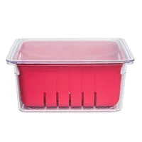 KSP Fridgestor Berry Keeper Basket (Red) 6.7x8.7x4"