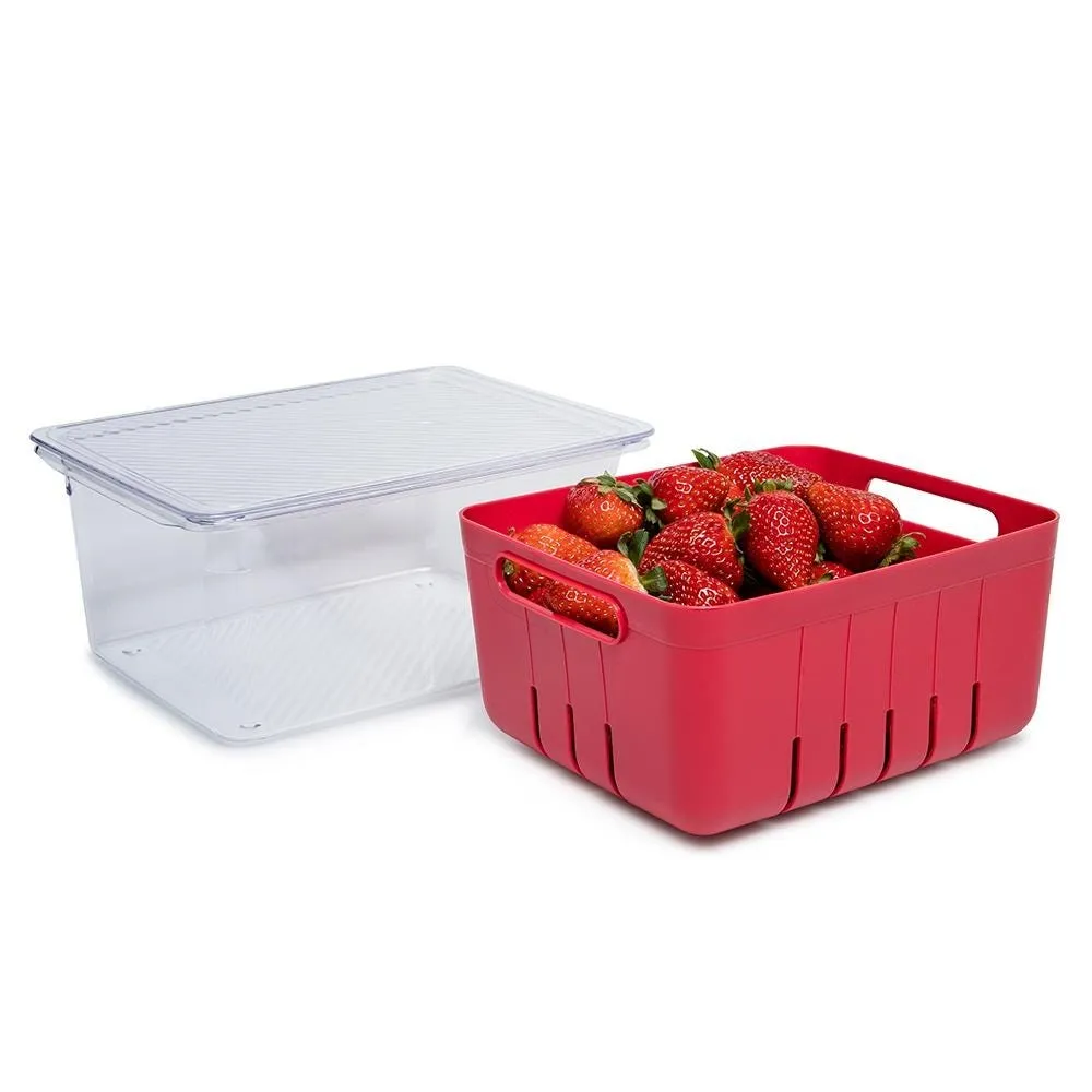 KSP Fridgestor Berry Keeper Basket (Red) 6.7x8.7x4"