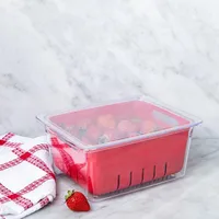 KSP Fridgestor Berry Keeper Basket (Red) 6.7x8.7x4"