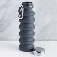 Joie On The Go Collapsible Water Bottle (Asstd.)