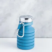 Joie On The Go Collapsible Water Bottle (Asstd.)