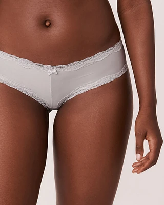 Microfiber and Lace Trim Cheeky Panty