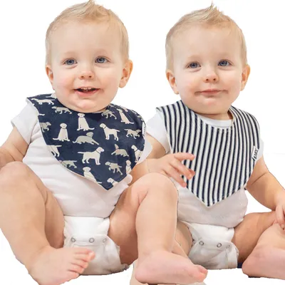 Labs 2 Pack Infant Bandana Bib