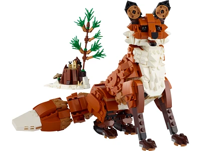 Forest Animals: Red Fox