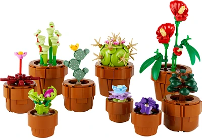 Plantas em Miniatura