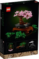 Bonsai Tree