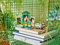 Mirabel's Photo Frame and Jewelry Box