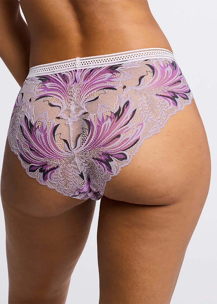 Lavender Fields Lace Brief