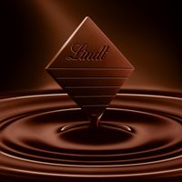 Lindt EXCELLENCE Sea Salt Dark Chocolate Bar, 100g