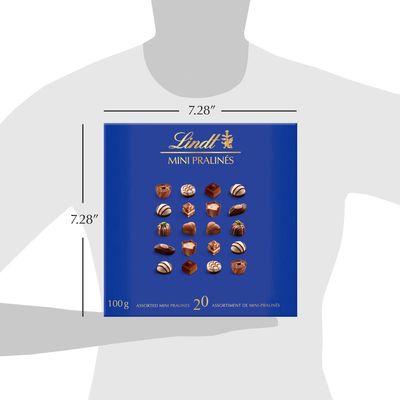 Lindt Mini Pralines Assorted Chocolates Gift Box, 100g
