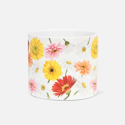 Gerbera daisy planter collection - gerbera daisy planter - 4.5""