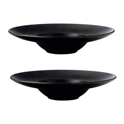 Set of 2 caviar show plates by maxwell & williams (28 cm)