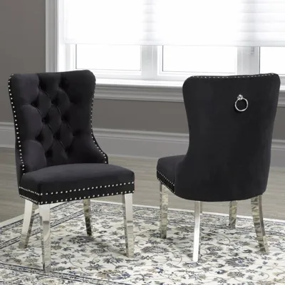 Set of 2 benicio dining chairs