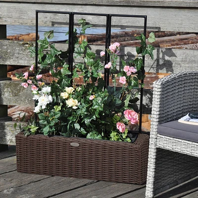 Resin Wicker Planter with Trellis - Brown