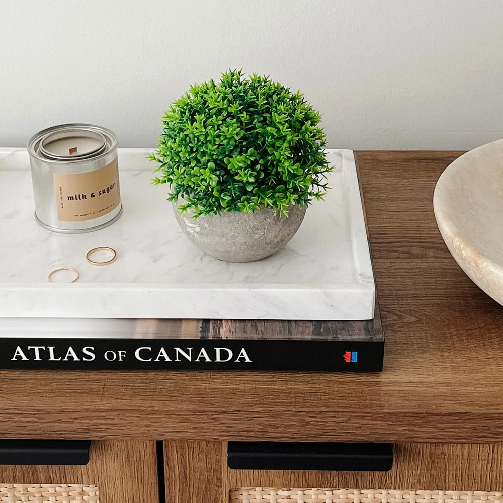 Foliage Ball Plant in Grey Pot