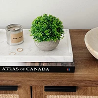 Foliage Ball Plant in Grey Pot