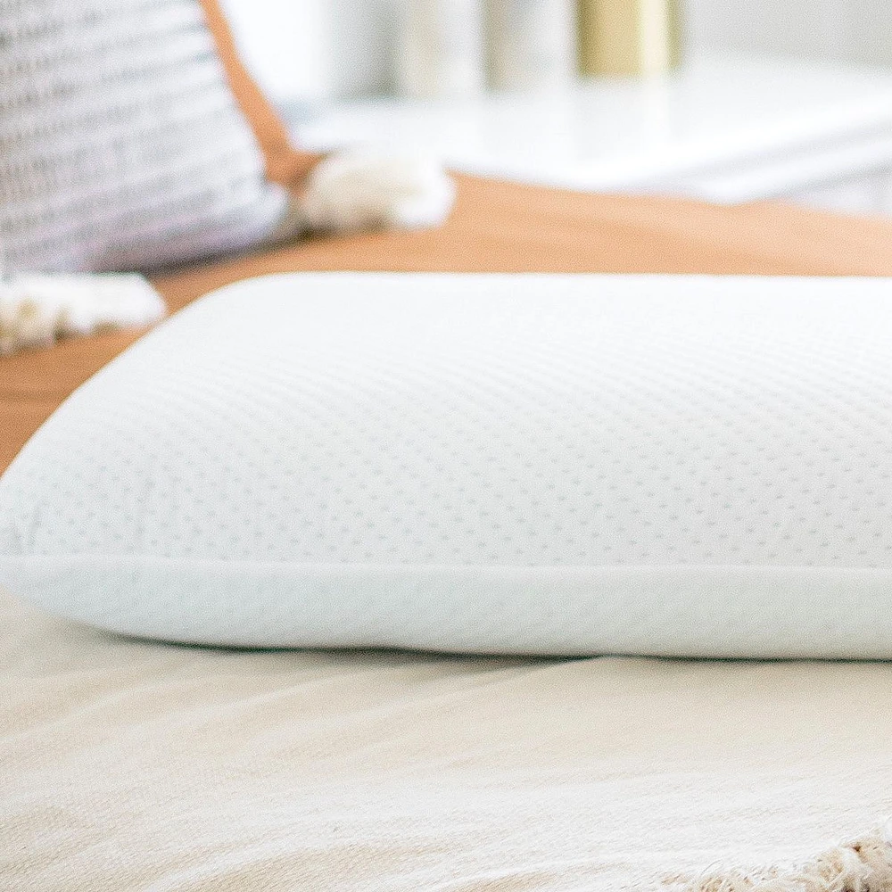 Bio Aloe Blu Sleep Cooling Memory Foam Pillow