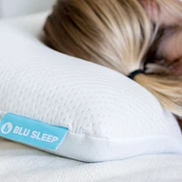 Bio Aloe Blu Sleep Cooling Memory Foam Pillow