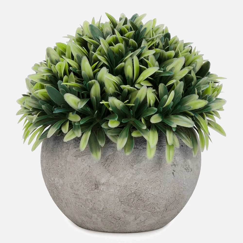 Pot gris à plante avec boule de feuillage