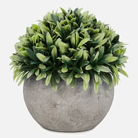 Foliage Ball Plant in Grey Pot