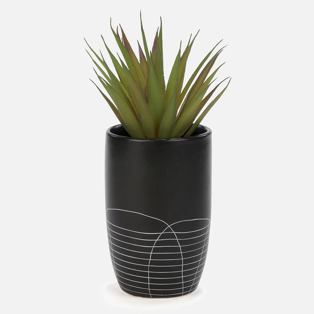 Cactus Plant Ceramic Pot Assorted