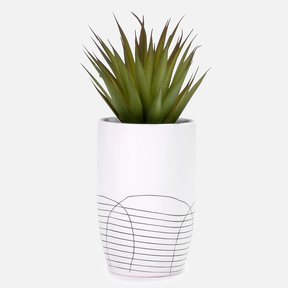 Cactus Plant Ceramic Pot Assorted