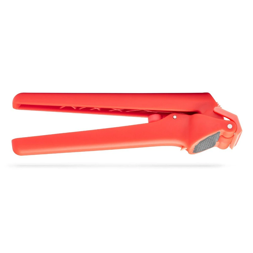 Dreamfarm Garject Garlic Press