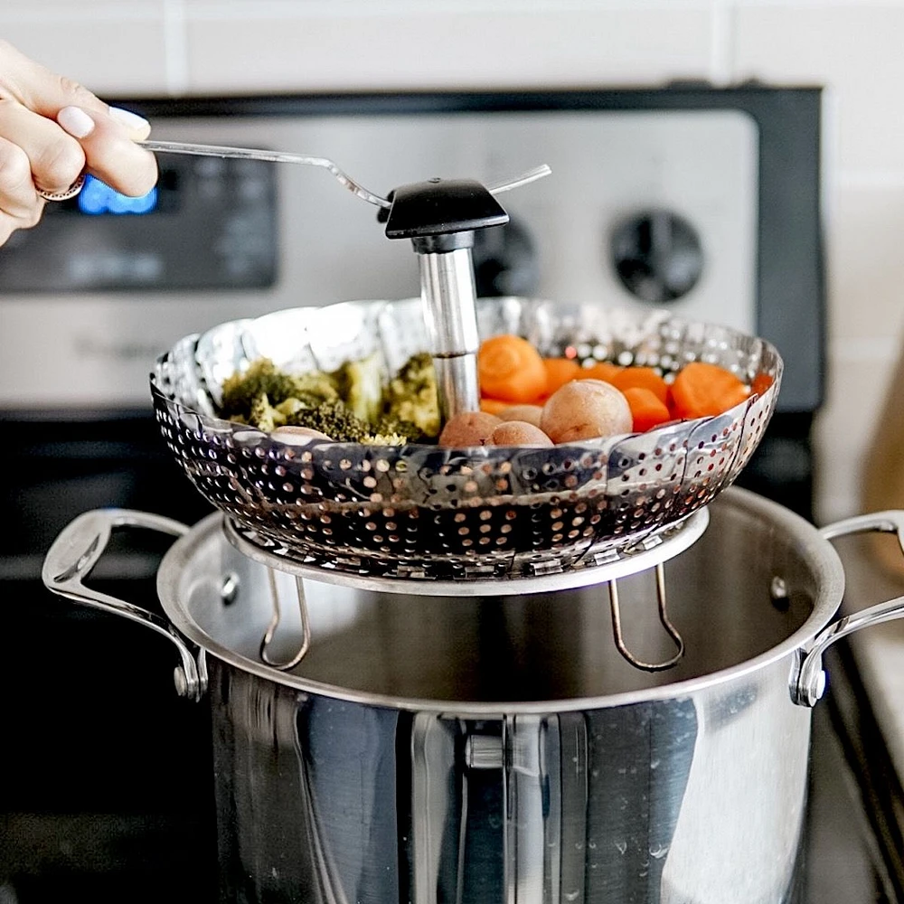 Marguerite pour cuisson à la vapeur par Danesco