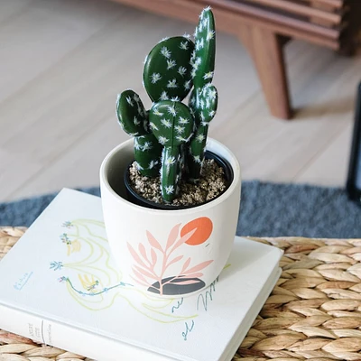 Green Cactus In Black Pot