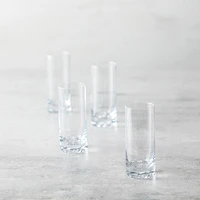 Set of 4 Echo Tumblers by Fortessa