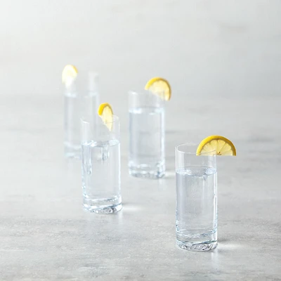 Set of 4 Echo Tumblers by Fortessa