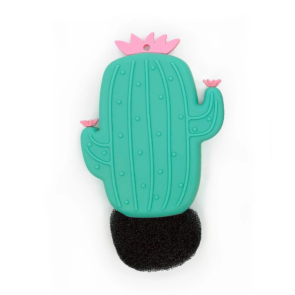 Brosse et éponge en forme de cactus par Gourmet OMG!