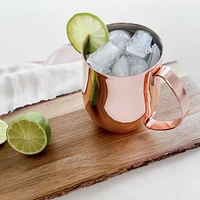 Double Wall Moscow Mule Mug by Final Touch