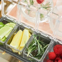 Compartment Tray for Bar Garnishes by Final Touch