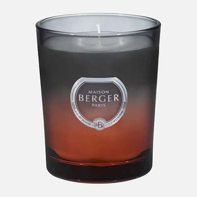 Cotton Caress Scented Candle by Maison Berger Paris