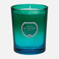 Zest Of Verbena Scented Candle by Maison Berger Paris