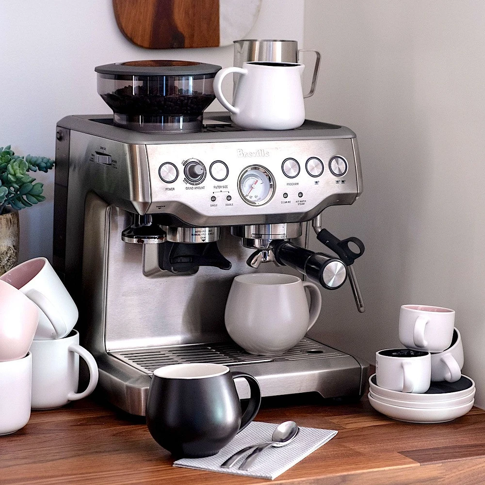 Breville Barista Express™  Espresso & Cappuccino Machine - Silver