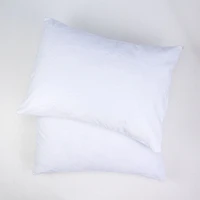 Luxury Plush Set of 2 Pillow Protectors by HealthGuard