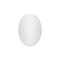 Marion Framless Oval Mirror