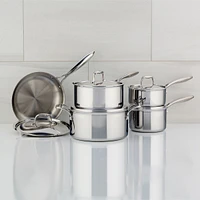 Meyer SuperSteel 10-Piece Tri-Ply Clad Stainless Steel Cookware Set